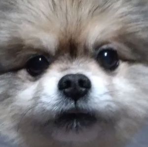 Meet your Posher, Jo